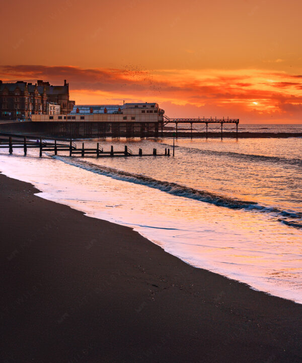20210203_8705Aberystwyth_Matt_Wilby