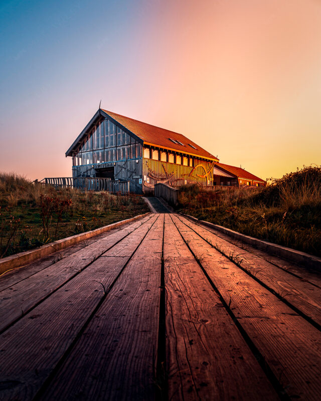 Borth_Ynyslas_Matt_Wilby_Aberystwyth_Wales_20200917_7602