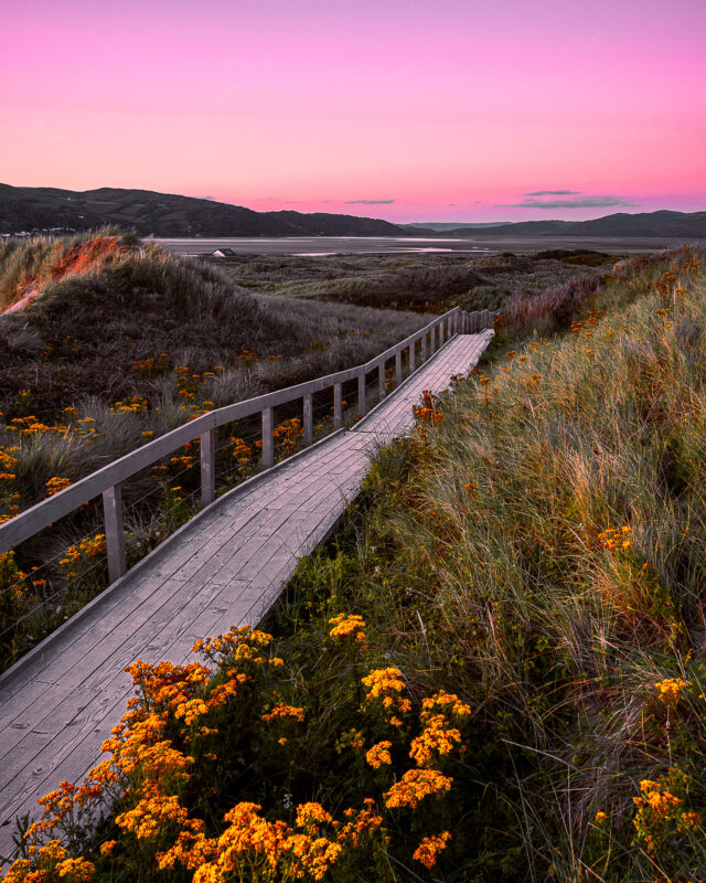 Borth_Ynyslas_Matt_Wilby_Aberystwyth_Wales__DSC1658