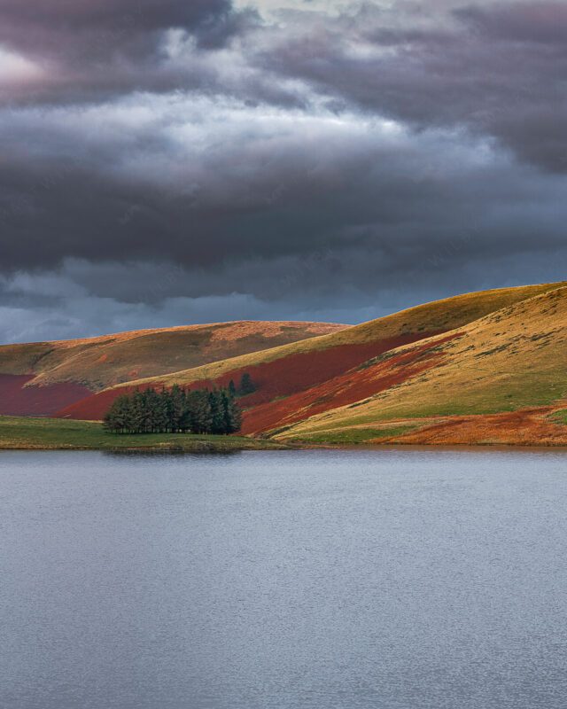 Elan_Valley_Matt_Wilby_Aberystwyth_Wales_20191103_1960