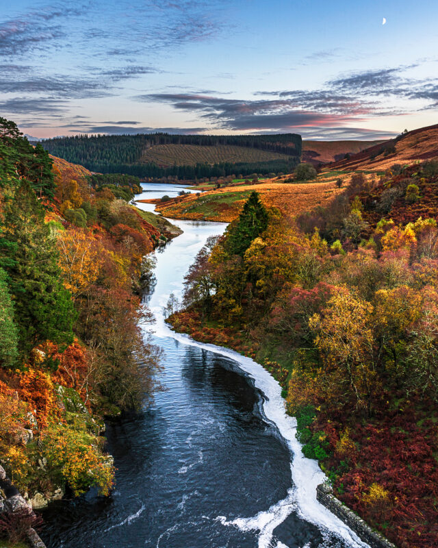 Elan_Valley_Matt_Wilby_Aberystwyth_Wales_20191103_1968