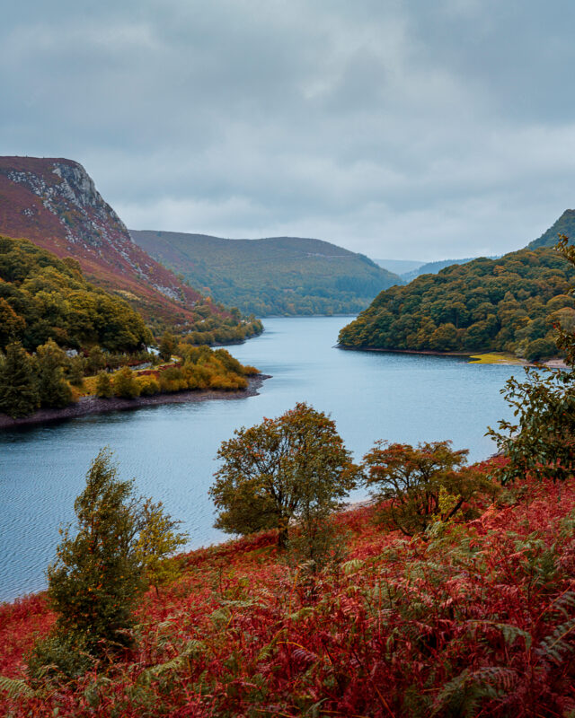 Elan_Valley_Matt_Wilby_Aberystwyth_Wales_20201003_7831