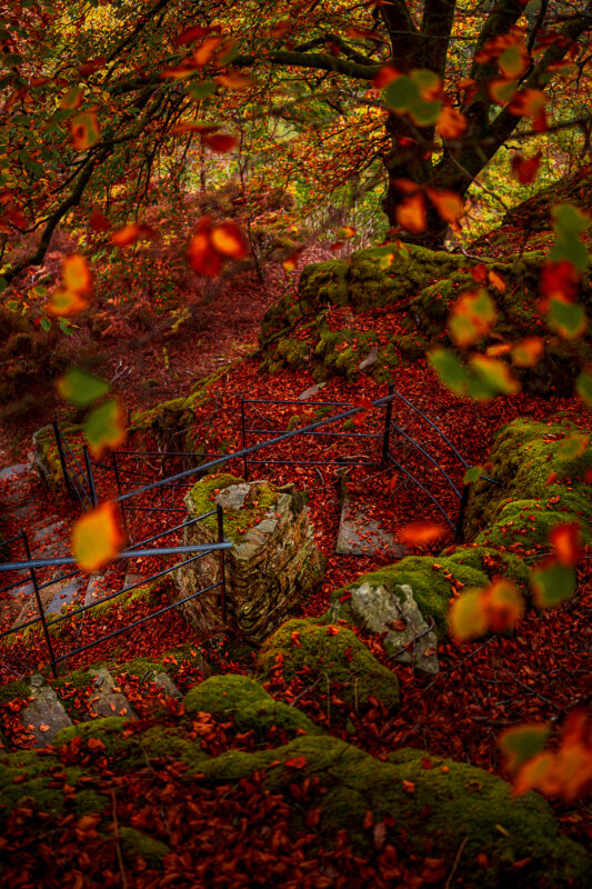 Hafod_Matt_Wilby_Aberystwyth_Wales_20201017_8200