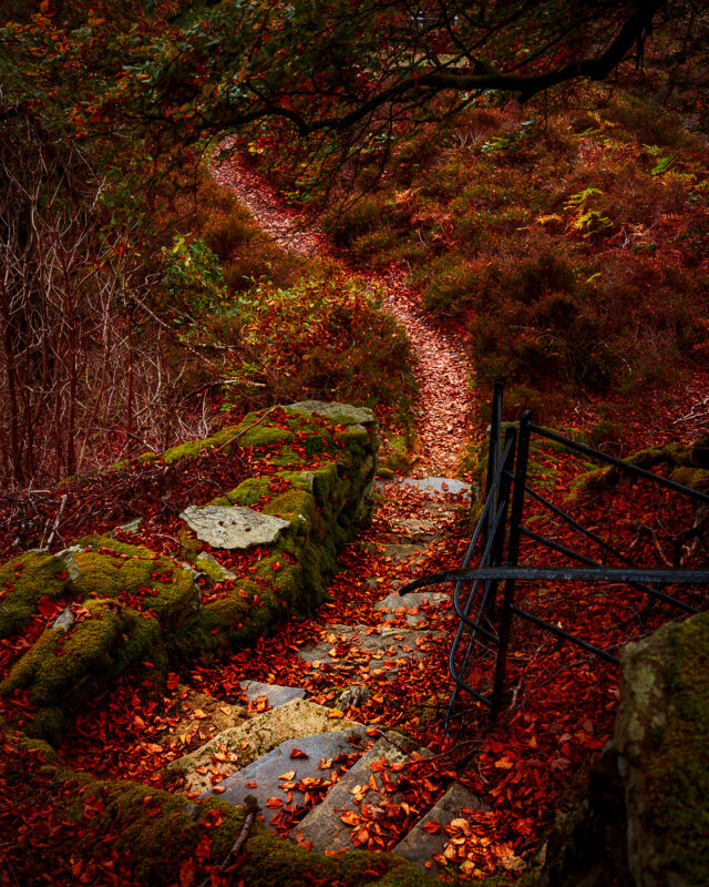 Hafod_Matt_Wilby_Aberystwyth_Wales_20201017_8202