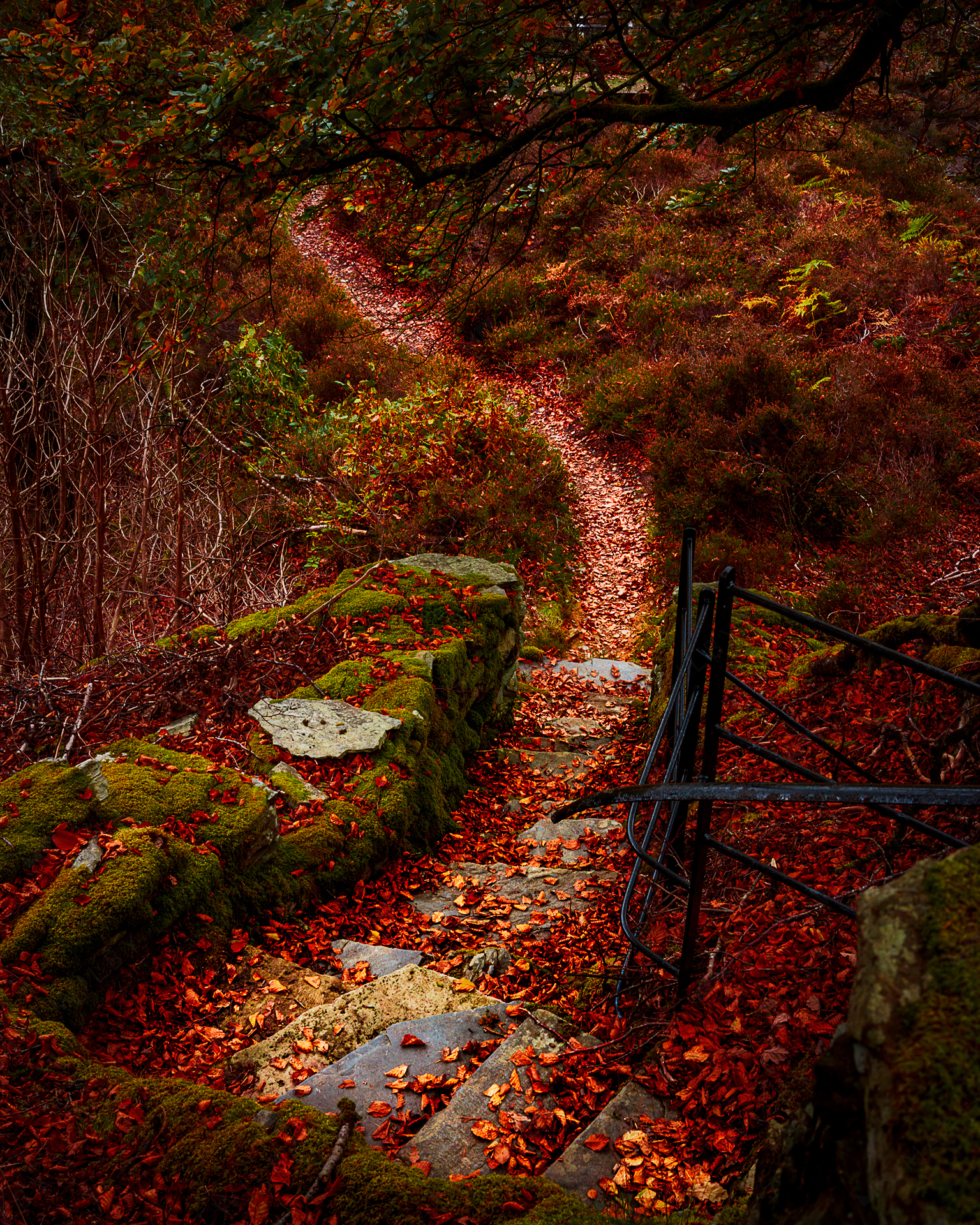 Hafod_Matt_Wilby_Aberystwyth_Wales_20201017_8202