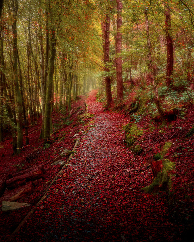 Hafod_Matt_Wilby_Aberystwyth_Wales_20201017_8212
