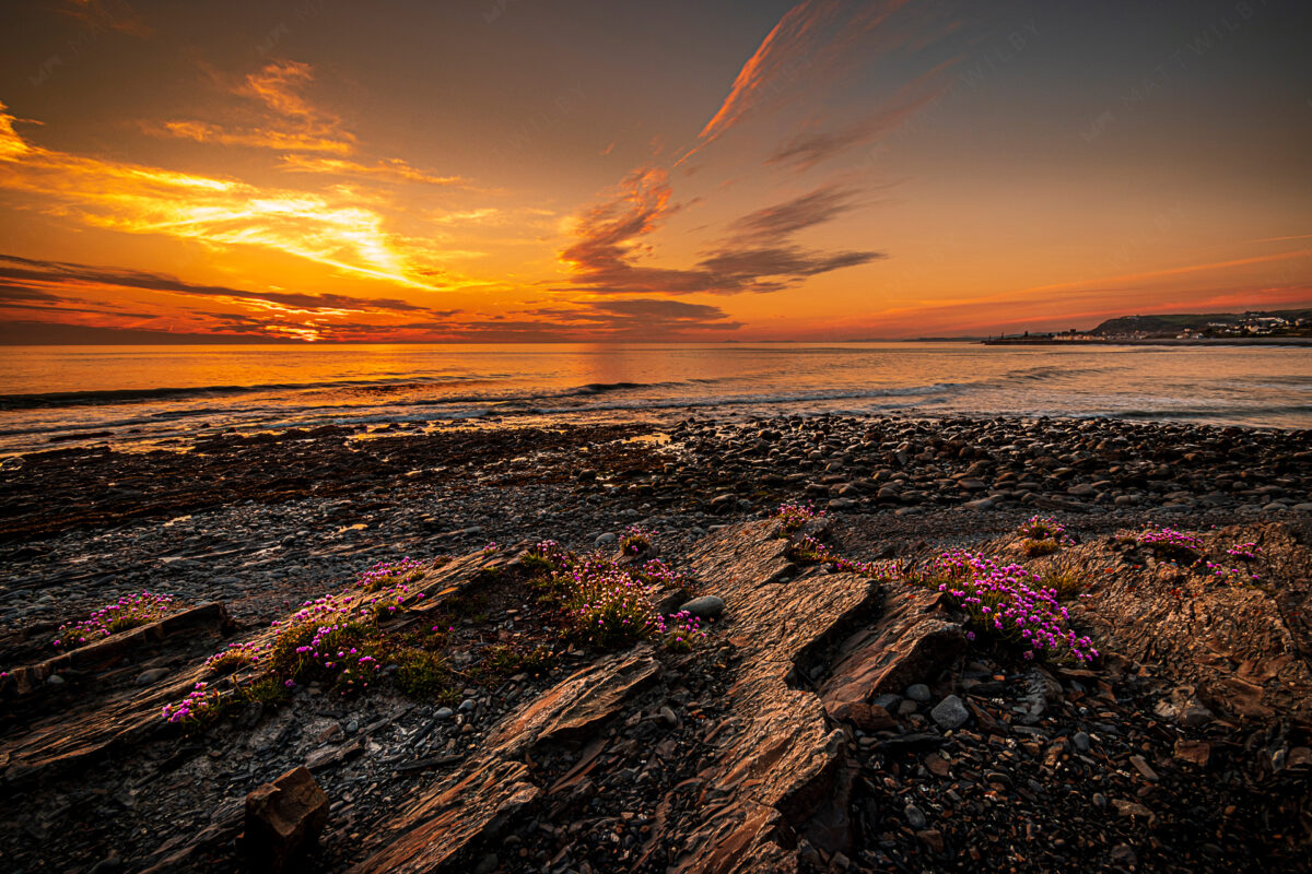 Matt_Wilby_Aberystwyth_Wales_20190515-20190515_0049-HDR1