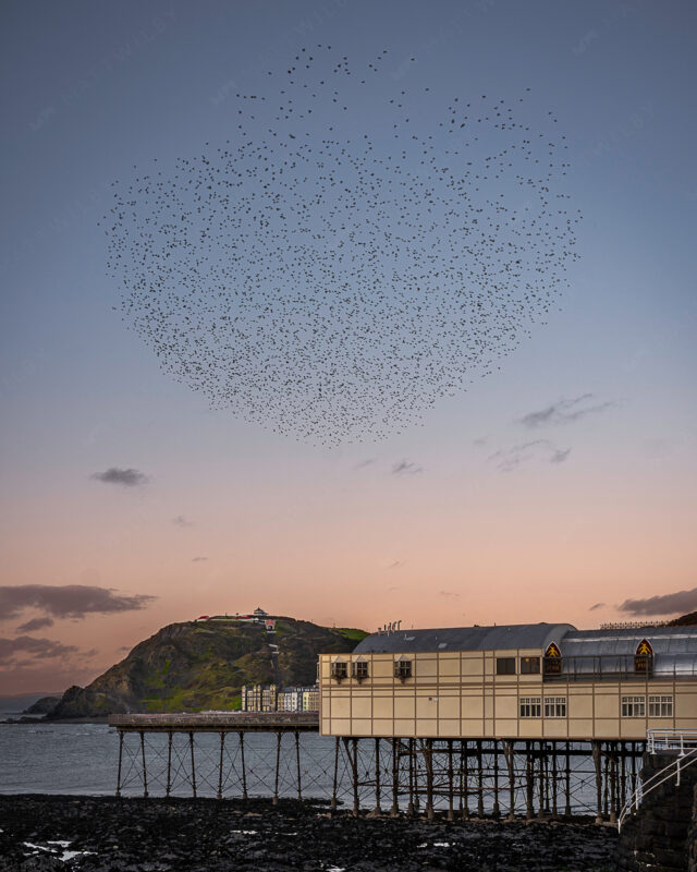 Matt_Wilby_Aberystwyth_Wales_20191016_1505