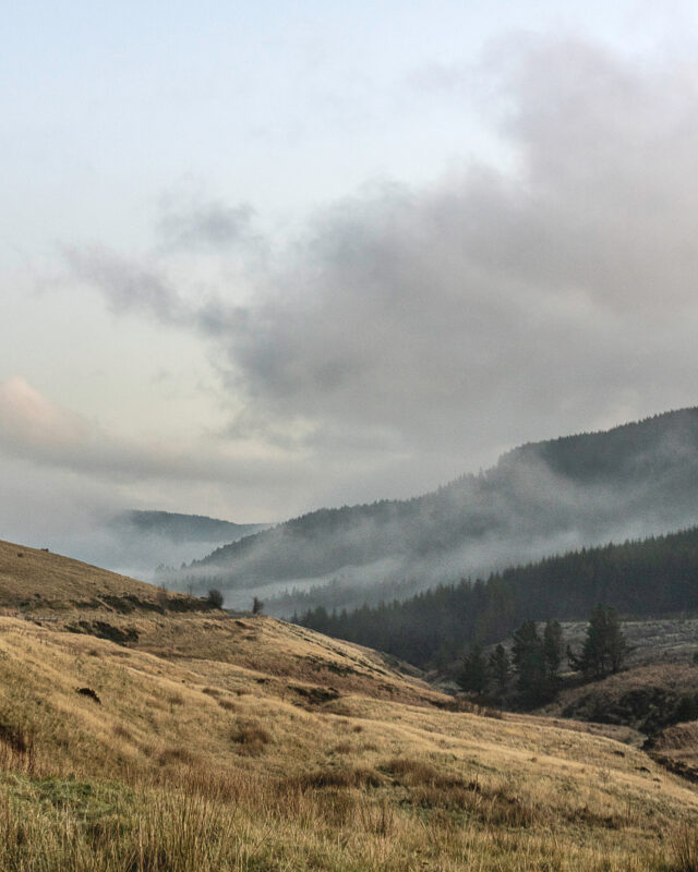Matt_Wilby_Aberystwyth_Wales_20191129_2204