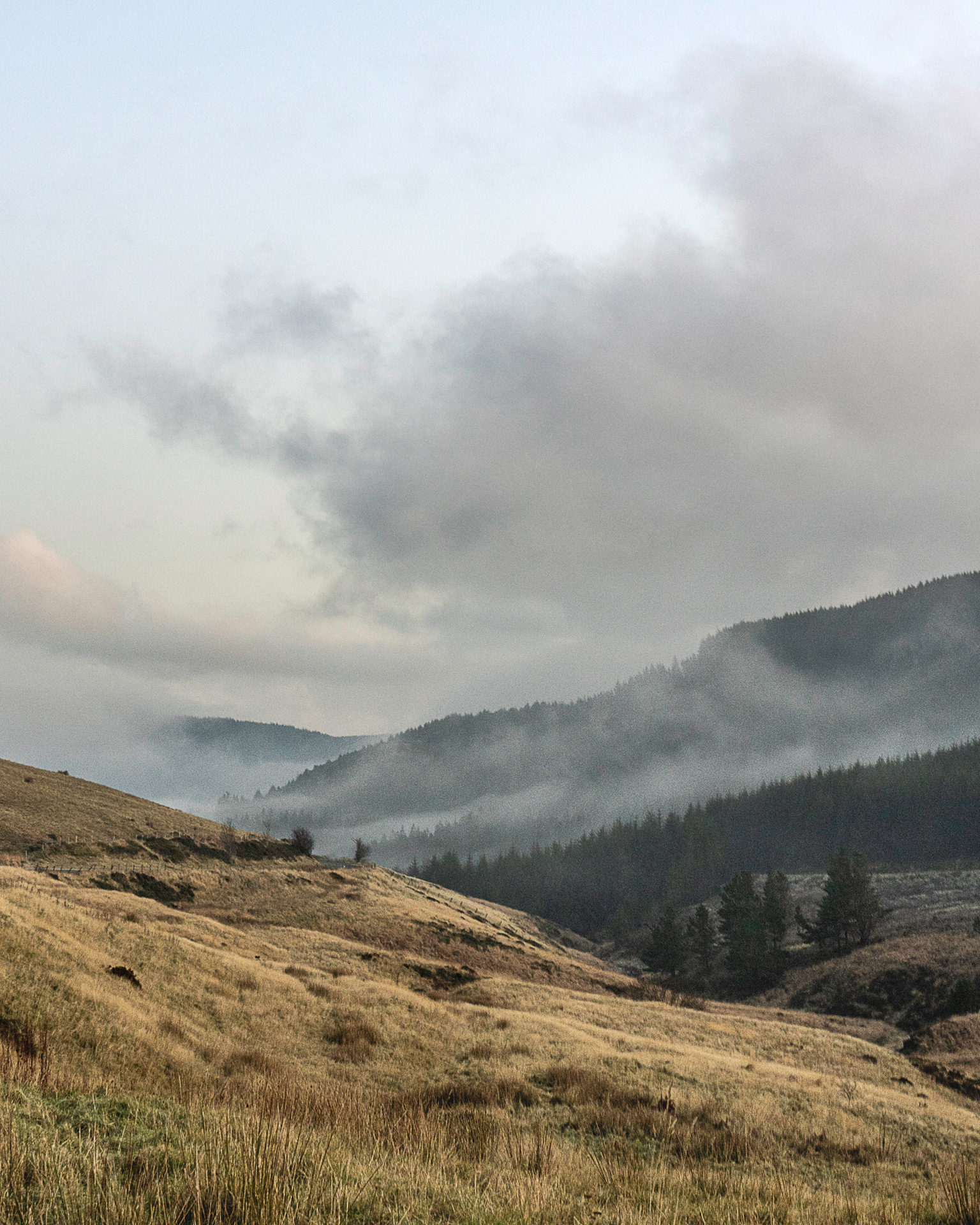 Matt_Wilby_Aberystwyth_Wales_20191129_2204