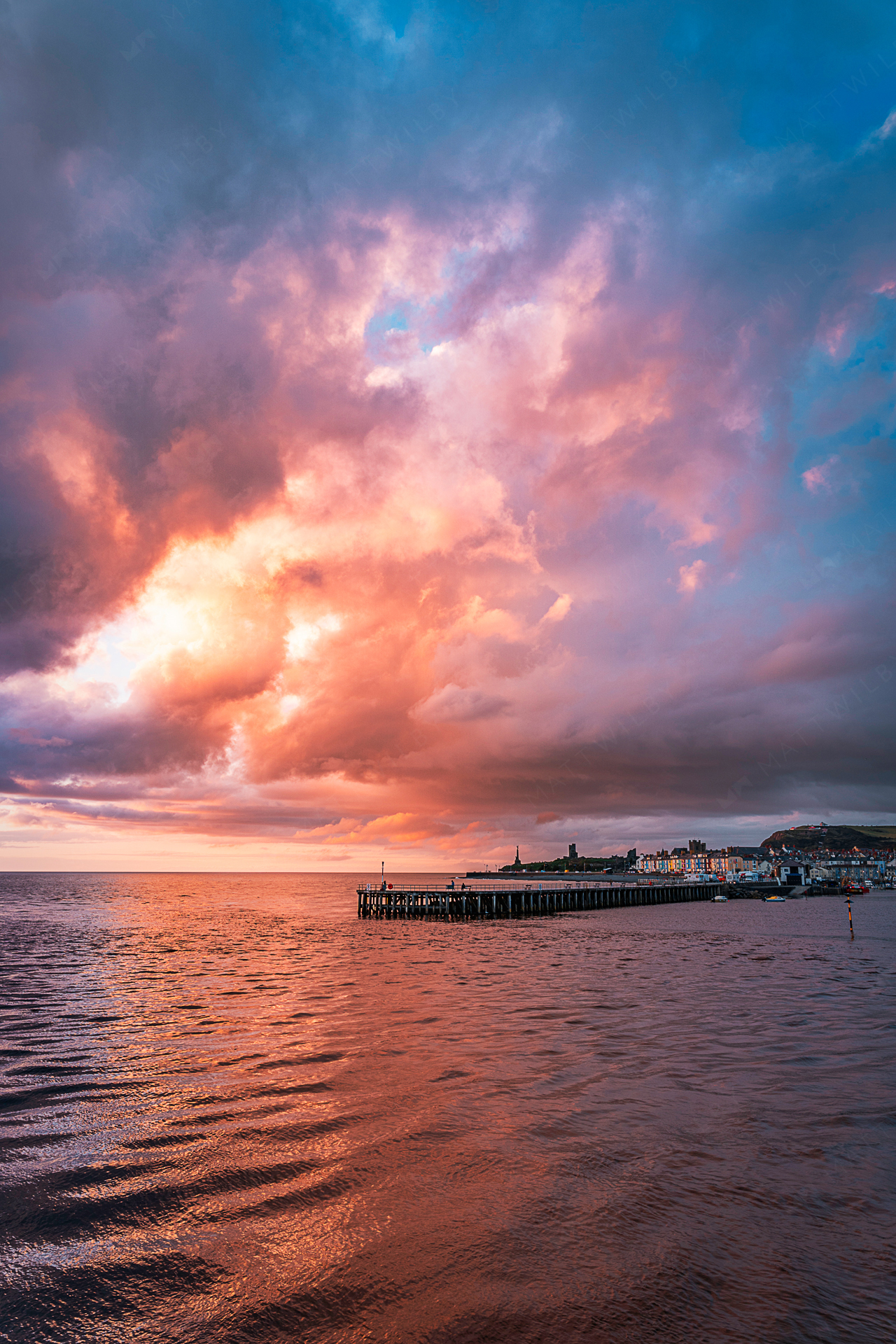 Matt_Wilby_Aberystwyth_Wales_20200818_6987