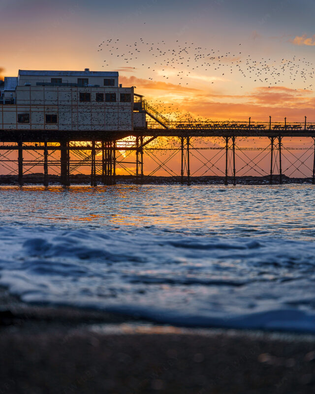 Matt_Wilby_Aberystwyth_Wales_20210203_8720