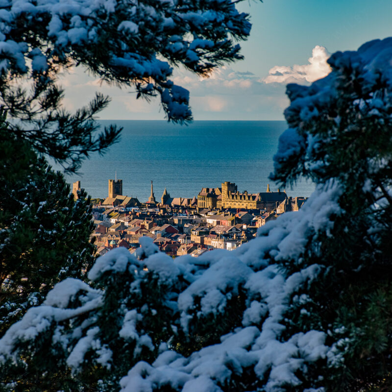 Matt_Wilby_Aberystwyth_Wales_Oldcollage