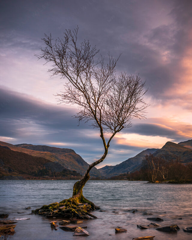 Matt_Wilby_Wales_20191228_2569