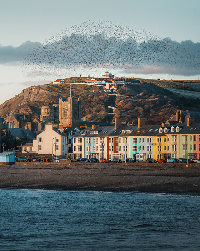 matt-wilby-aberystwyth-wales-20230307_3834